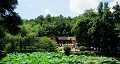 長沙出發(fā)到花明樓、韶山、張家界國家森林公園、天門仙山國家森林公園四日游